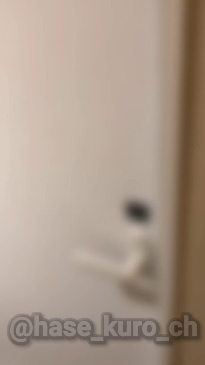 Video by @Hase_kuro_ch