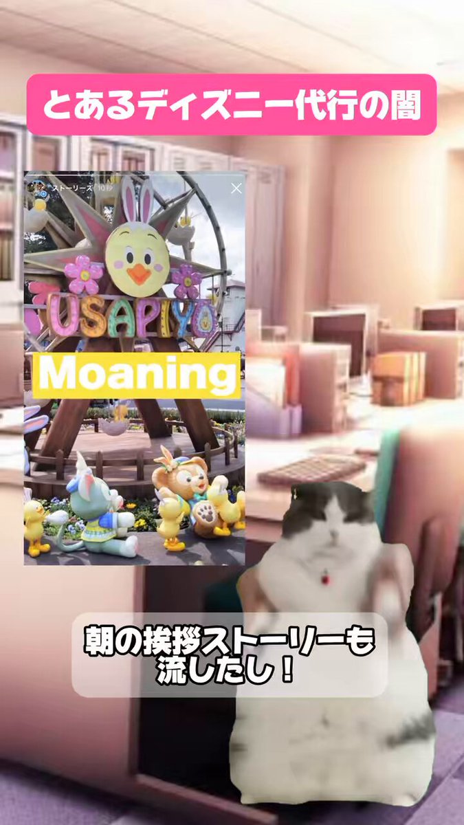 鳩さんの上海ディズニーグッズ紹介アカウント 鳩さんの上海ディズニーグッズ紹介アカウント