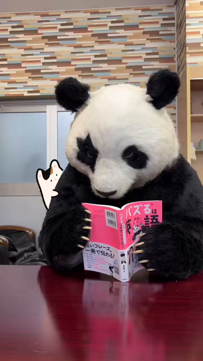 星星 -seisei- 🐼 (@seisei_panda) / X