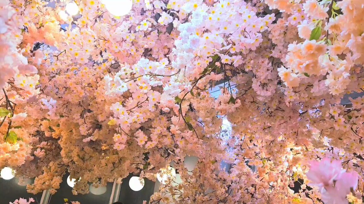 プリンセスしてきた!🍰🍨🐸👸🌸 