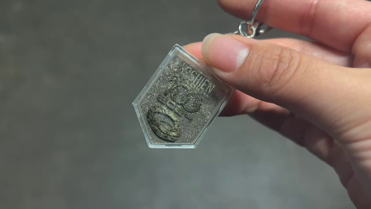 甲子園の土 キーホルダー 100周年記念 甲子園 高校野球 甲子園100回