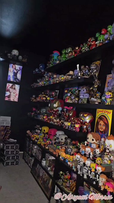 A peak into part of the collection ? and a peak into my nerdy side https://t.co/osu7y4wejv