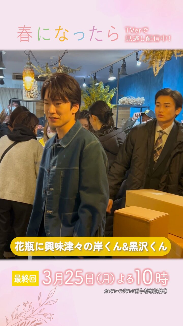 春になったら Blu-ray BOX〈4枚組〉奈緒/木梨憲武　未開封 春になったら Blu-ray BOX〈4枚組〉奈緒/木梨憲武 未開封