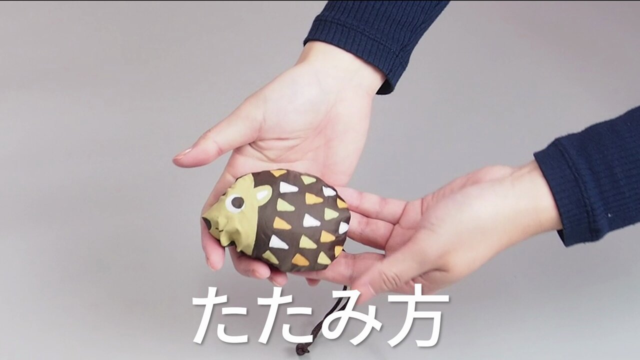 【激レア 早い者勝ち！】緑黄色社会 販促ツール 激レア 早い者勝ち！】緑黄色社会 販促ツール