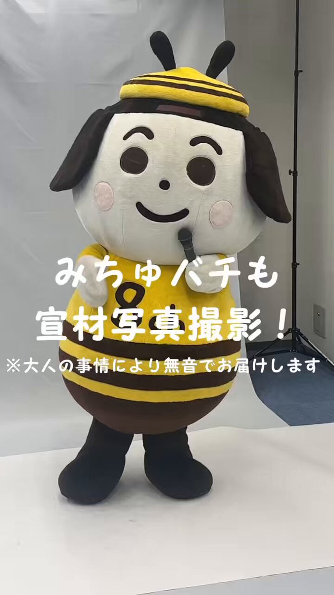 UHB北海道文化放送❽ch【広報】 on X: 