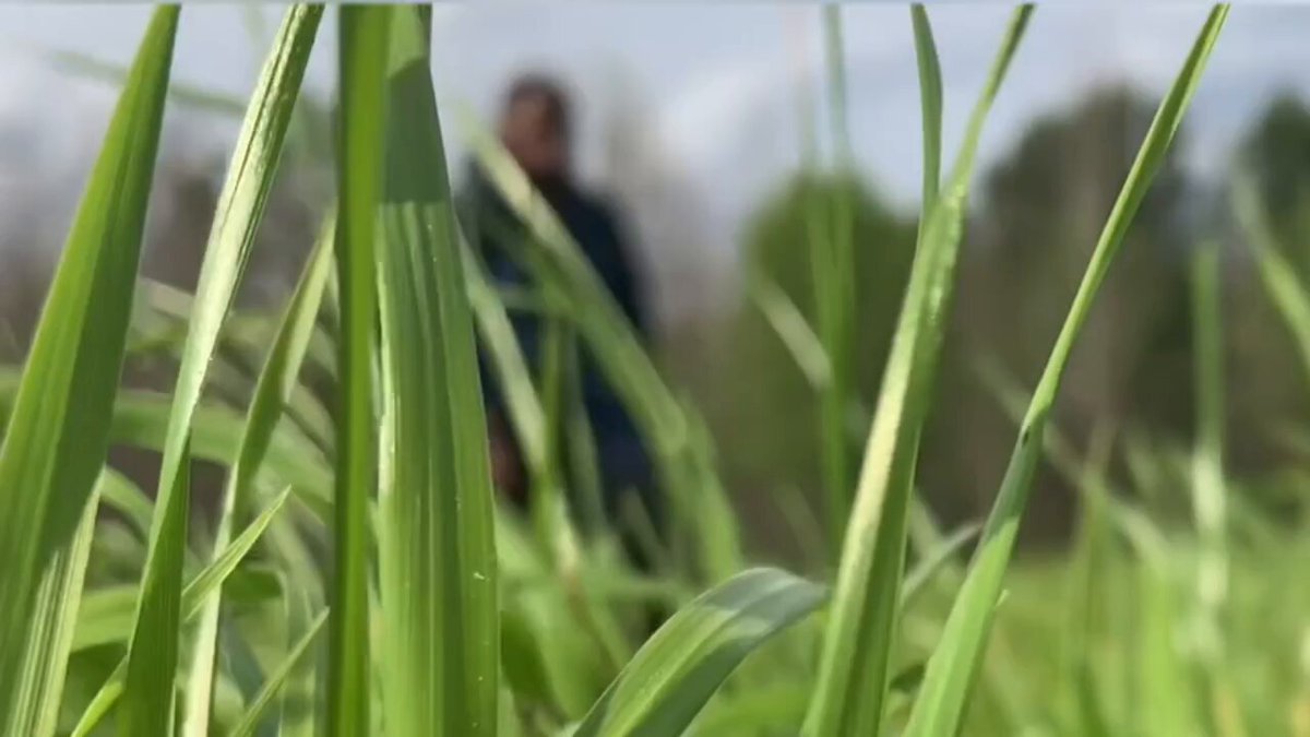 Cr3wSade AFK’s pics and videos