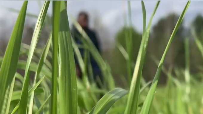 Cr3wSade AFK’s pics and videos