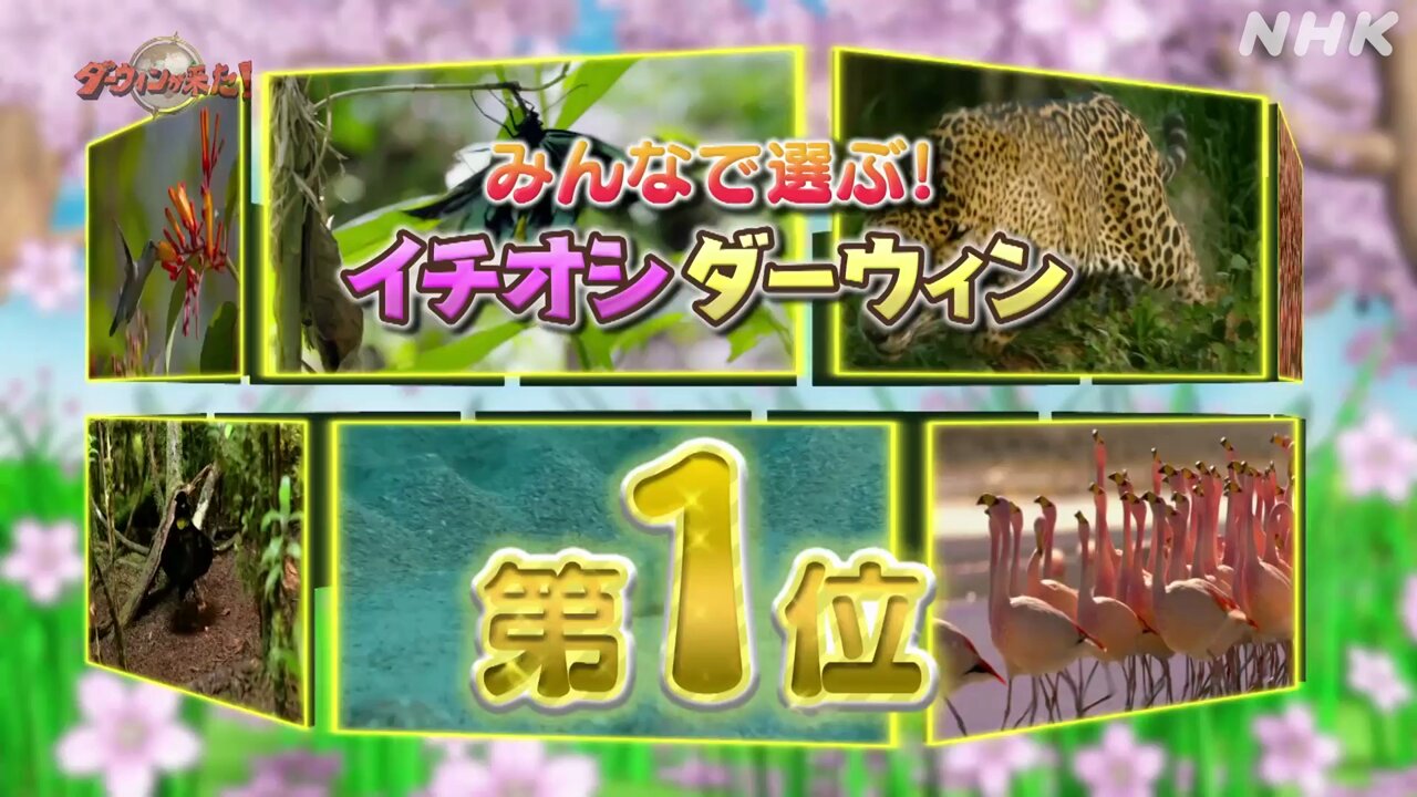 ダーウィンが来た！ on X: 