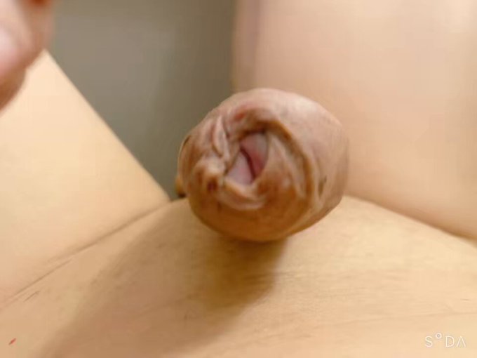 ポロン https://t.co/zA9wSHRtJj