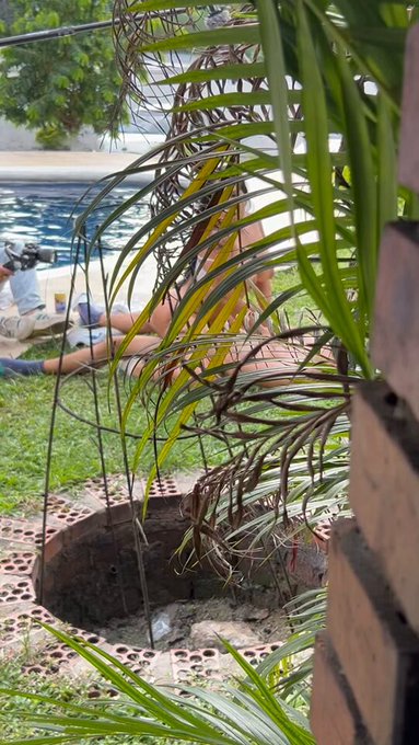 Encontr&eacute; unos duendes muy raros en mi jard&iacute;n!!!  #pelajemix #outdoors #duende #jardin https://t.co/p<a href="/tag/outdoors"class="tags"><span>#outdoors</span></a><a href="/tag/jardin"class="tags"><span>#jardin</span></a><a href="/tag/duende"class="tags"><span>#duende</span></a><a href="/tag/pelajemix"class="tags"><span>#pelajemix</span></a>