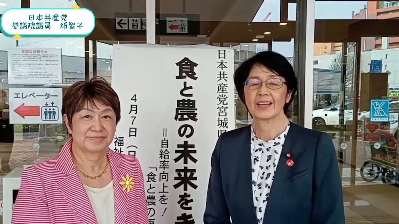 紙智子 