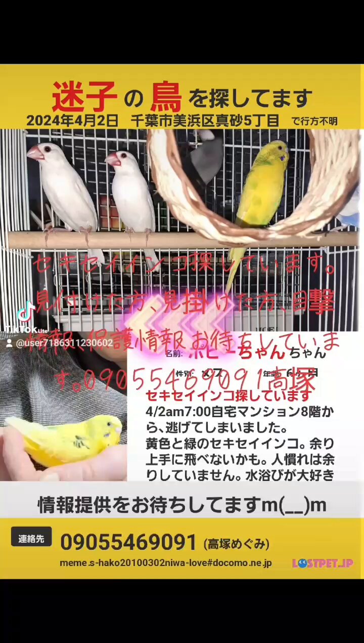めめこまとめ売り20点 セイコー 5スポーツ＞より、国内外から注目を集める新進気鋭の