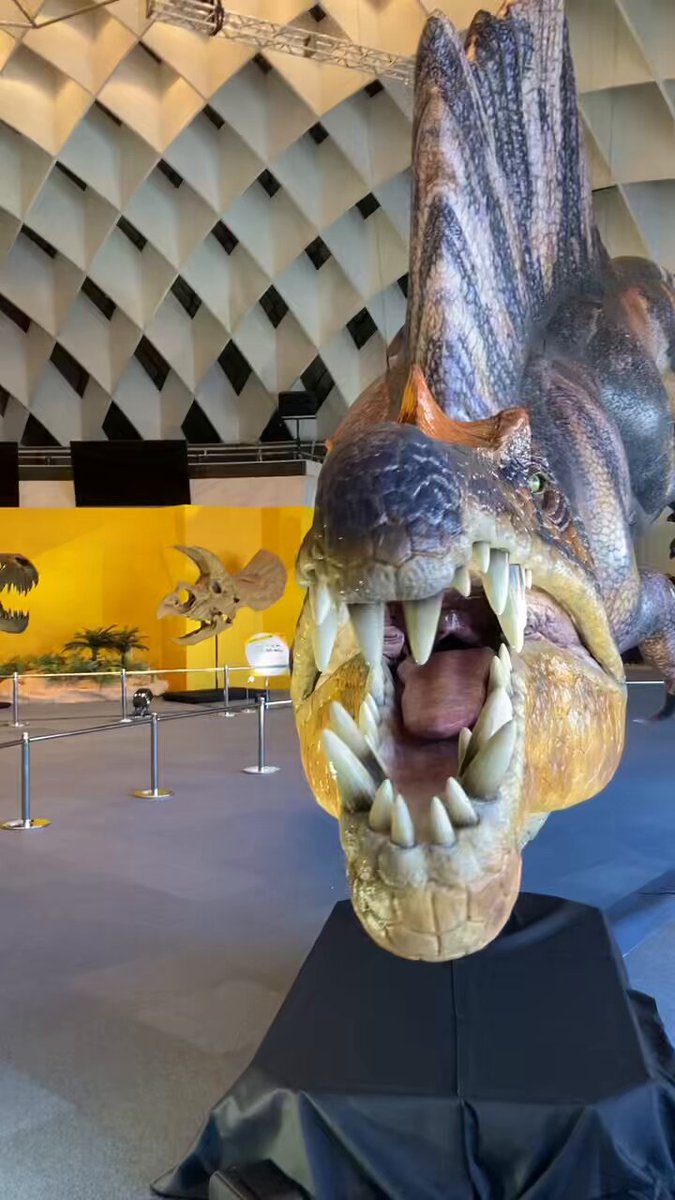 ノリ造（感謝） ノリ造（感謝） のりさま 専用 専用】のり様 rinkaさま 専用