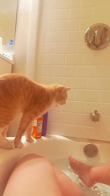 🎵🎼So this is love 🎶 I offer custom NO FACE .... feet pics and vids and tease content  https://t.co/jYfIdBN6QH<a href="/tag/feetlovers"class="tags"><span>#feetlovers</span></a>