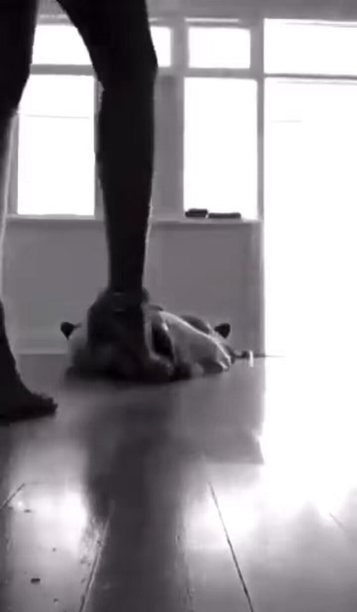 Amari Strokez’s pics and videos