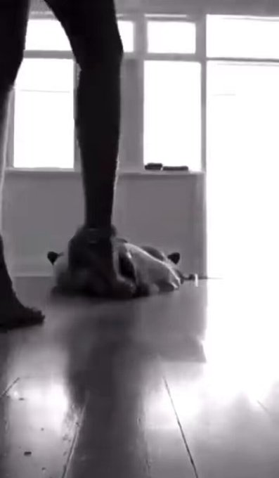 Amari Strokez’s pics and videos