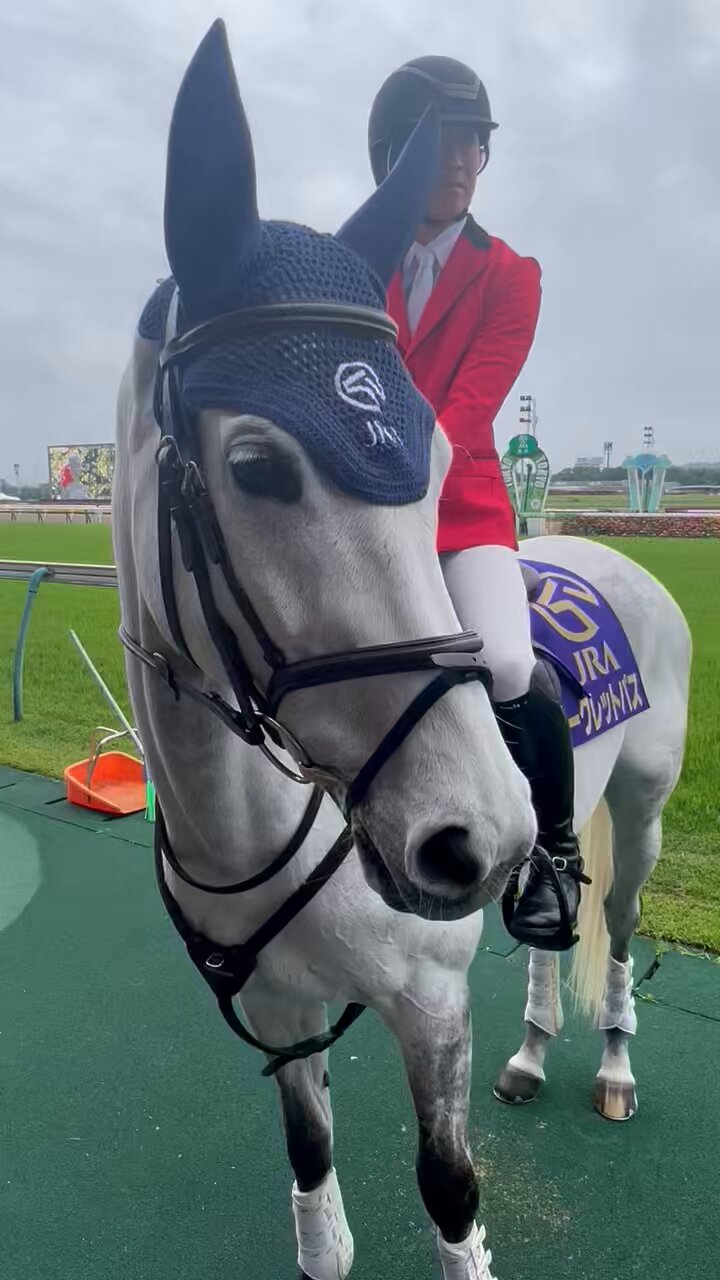 競馬 名馬 大きいパネル^o^ 競馬 名馬 大きいパネル^o^ 競馬 名馬 大きいパネル^o^ 競馬 名馬