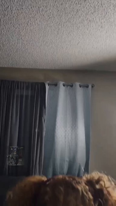 Play the game or play with her? #fyp #ass #melanin #games #TMNT https://t.co/jNaLlLdMaJ<a href="/tag/fyp"class="tags">#fyp</a><a href="/tag/ass"class="tags">#ass</a><a href="/tag/melanin"class="tags">#melanin</a><a href="/tag/tmnt"class="tags"><span>#tmnt</span></a><a href="/tag/games"class="tags"><span>#games</span></a>