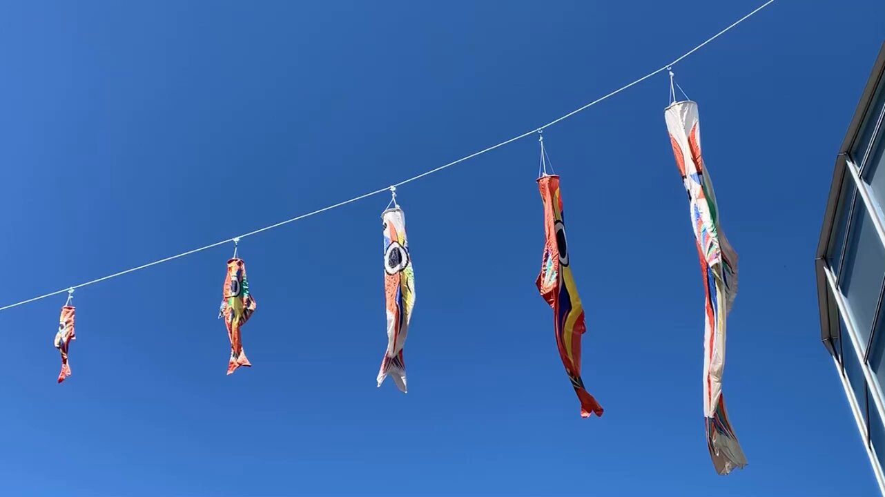 川崎市岡本太郎美術館 على X: 川崎市岡本太郎美術館 على X: