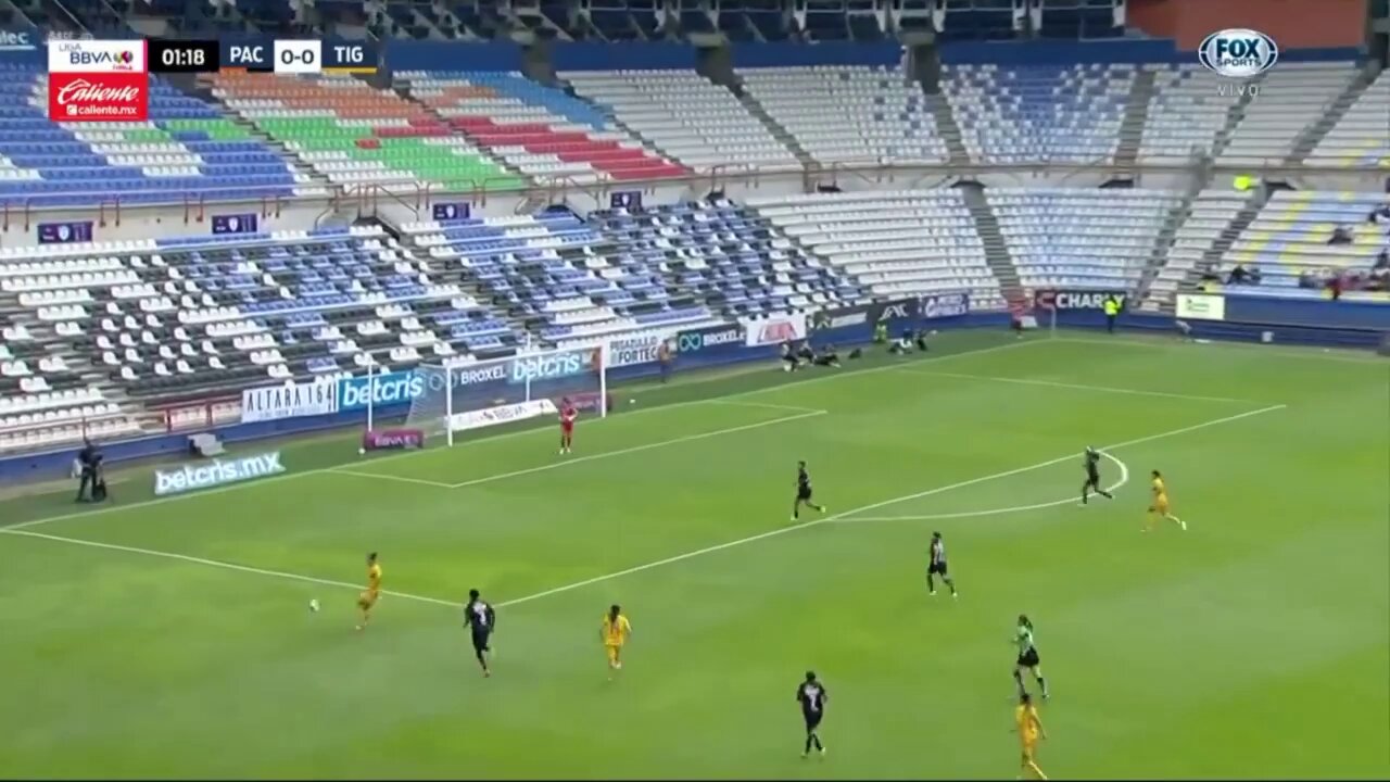 Gol de vestidor de las Amazonas 🤯🐯