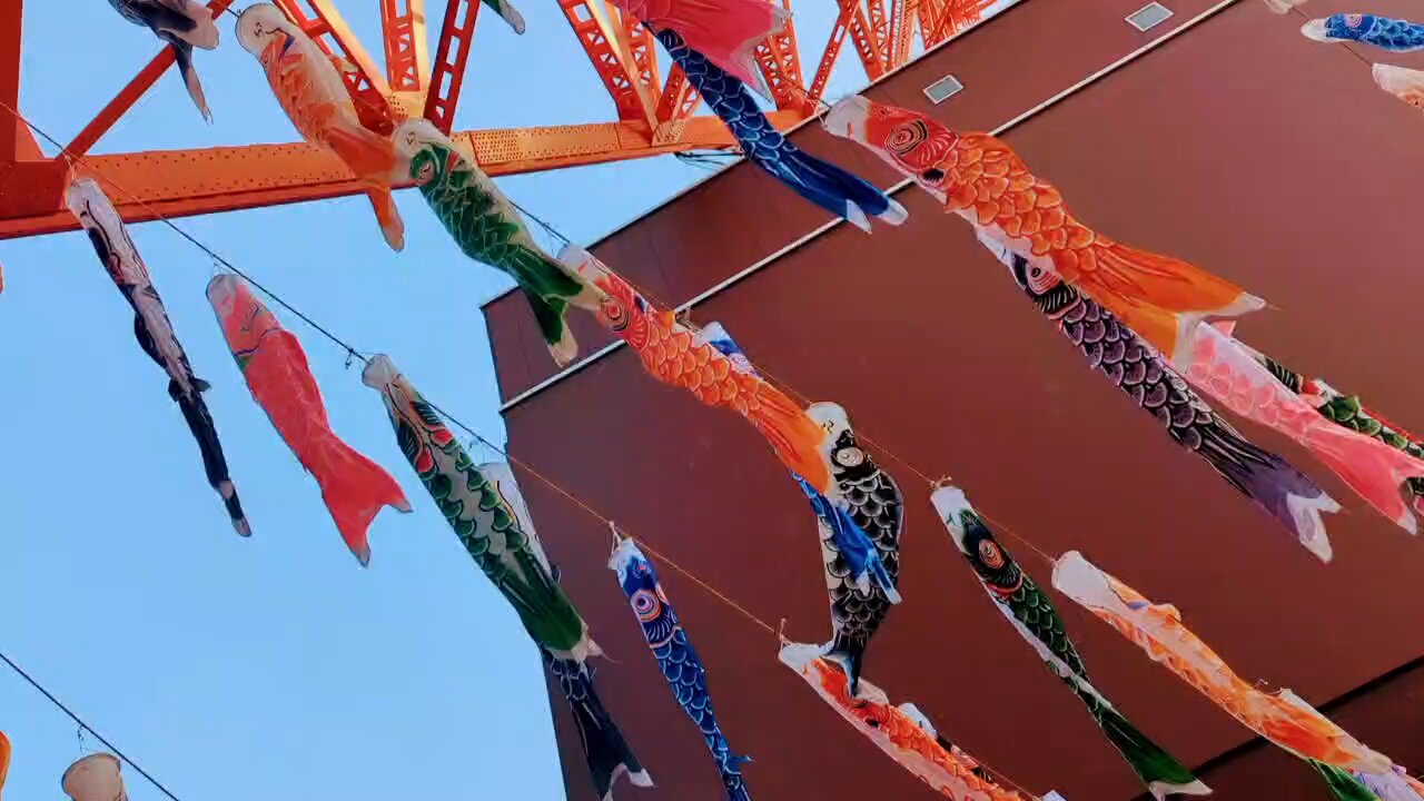 V6 - ※なお※ 陰日向に咲く＋東京タワー＋FLY,DADDY,FLY Tokyoタワー - Search / X