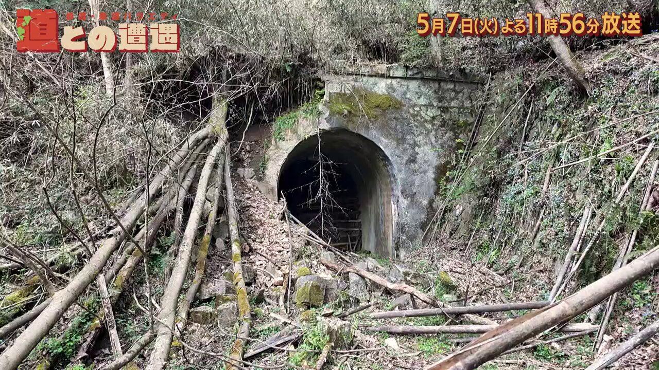 ホンダ スーパーディオ/ZX マフラー 排ガス規制前エンジン対応