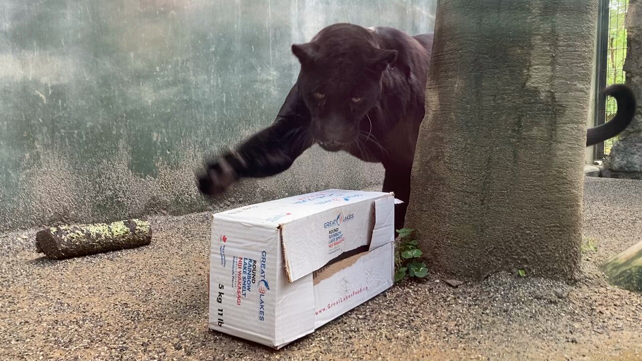 動物園学 文永堂出版 - 獣医学書・農学書を中心とした自然科学図書専門