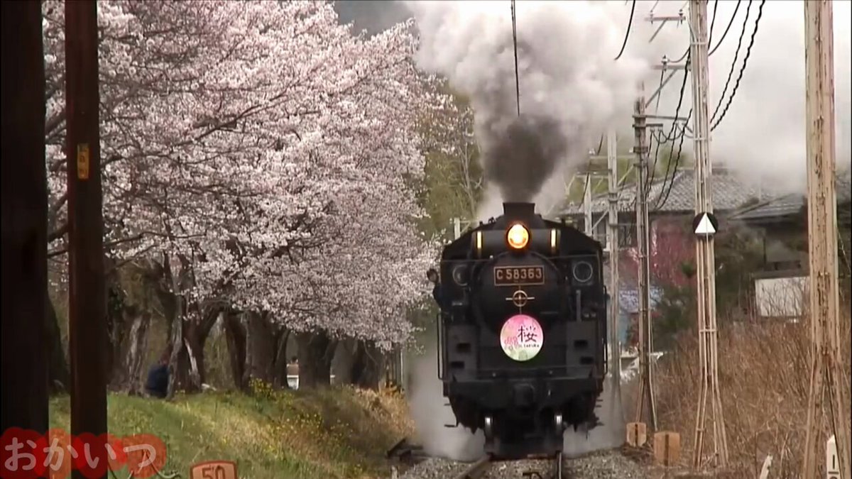 きしゃポッポ／横山だいすけ＆三谷たくみ ※この動画はX限定です。 #き