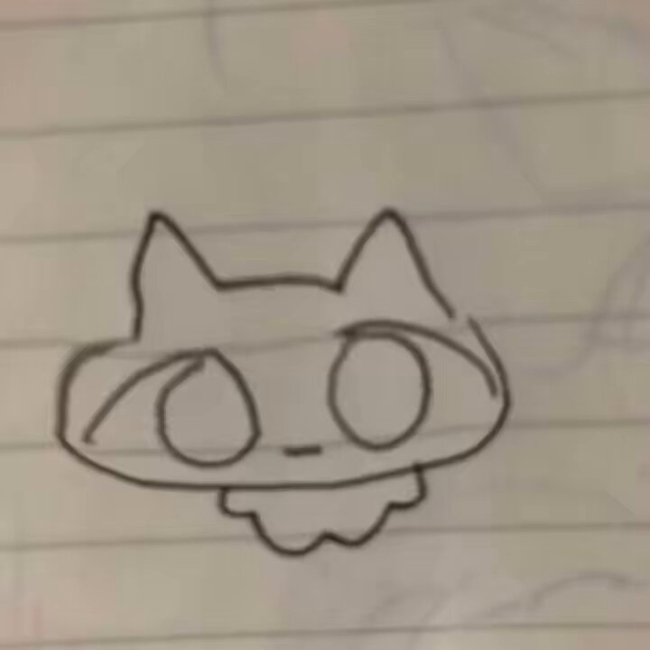 ⚫︎ねこちゃん⚫︎ のんちゃん on X: 