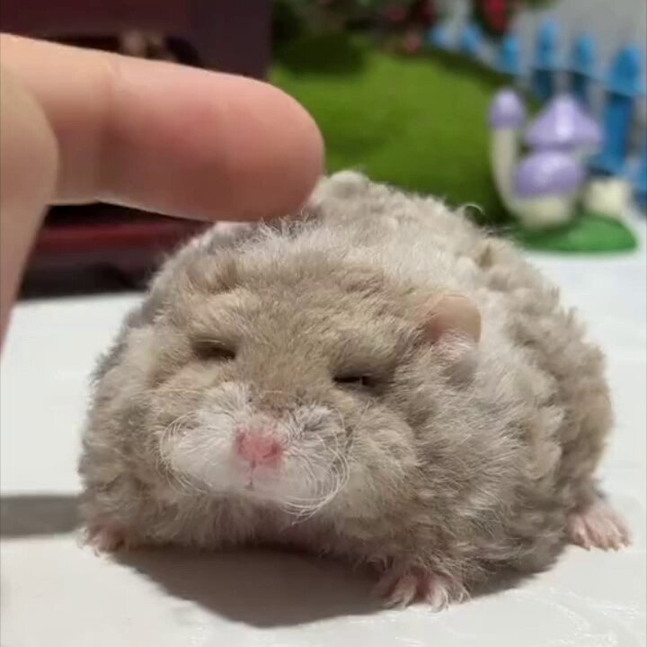 ねずみん (@nezunezunezumin) / Posts / X