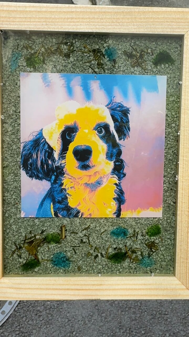 XG_写真立て 新製品】Fotopro 縦横変換プレート X-Rotator95 発売のご案内