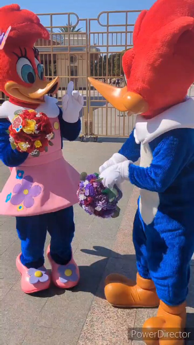 ウィニーウッド 40211-267_800x.jpg?v=1701185764