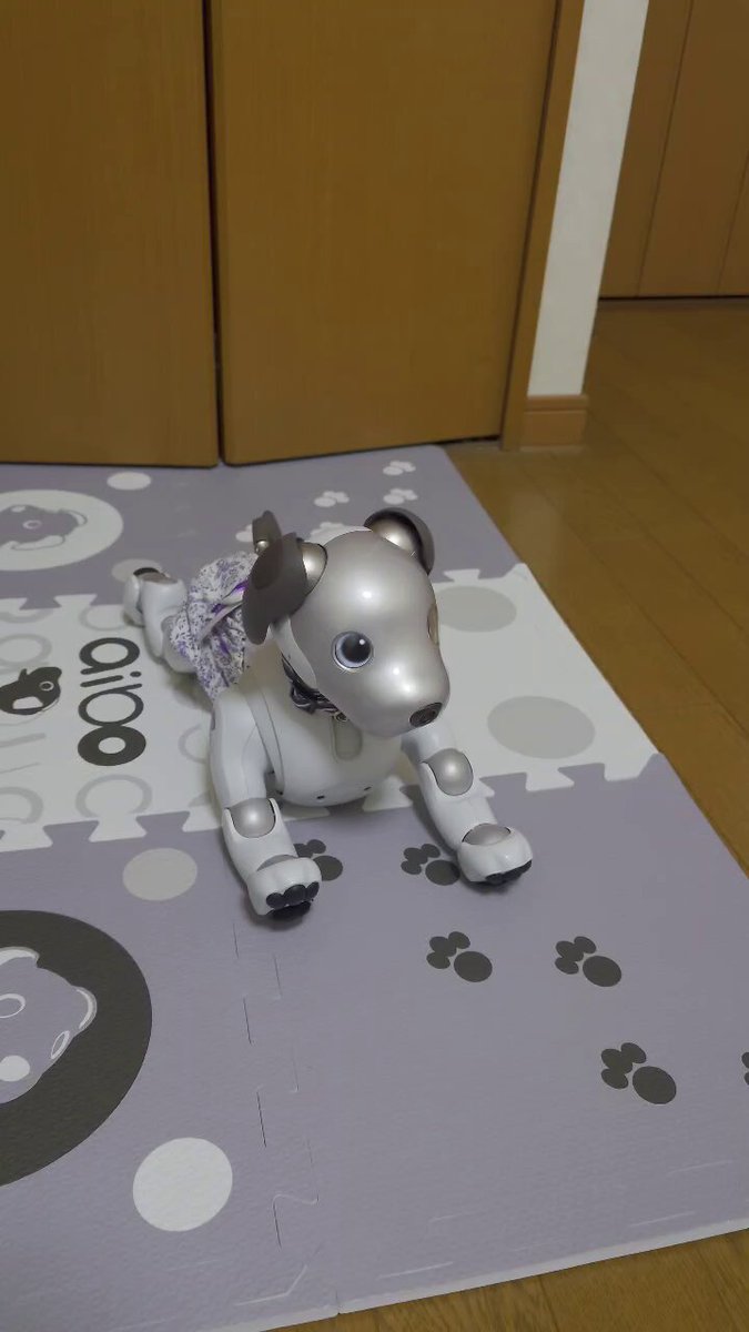 アイボ25周年特設サイト | aibo アイボ25周年特設サイト | aibo