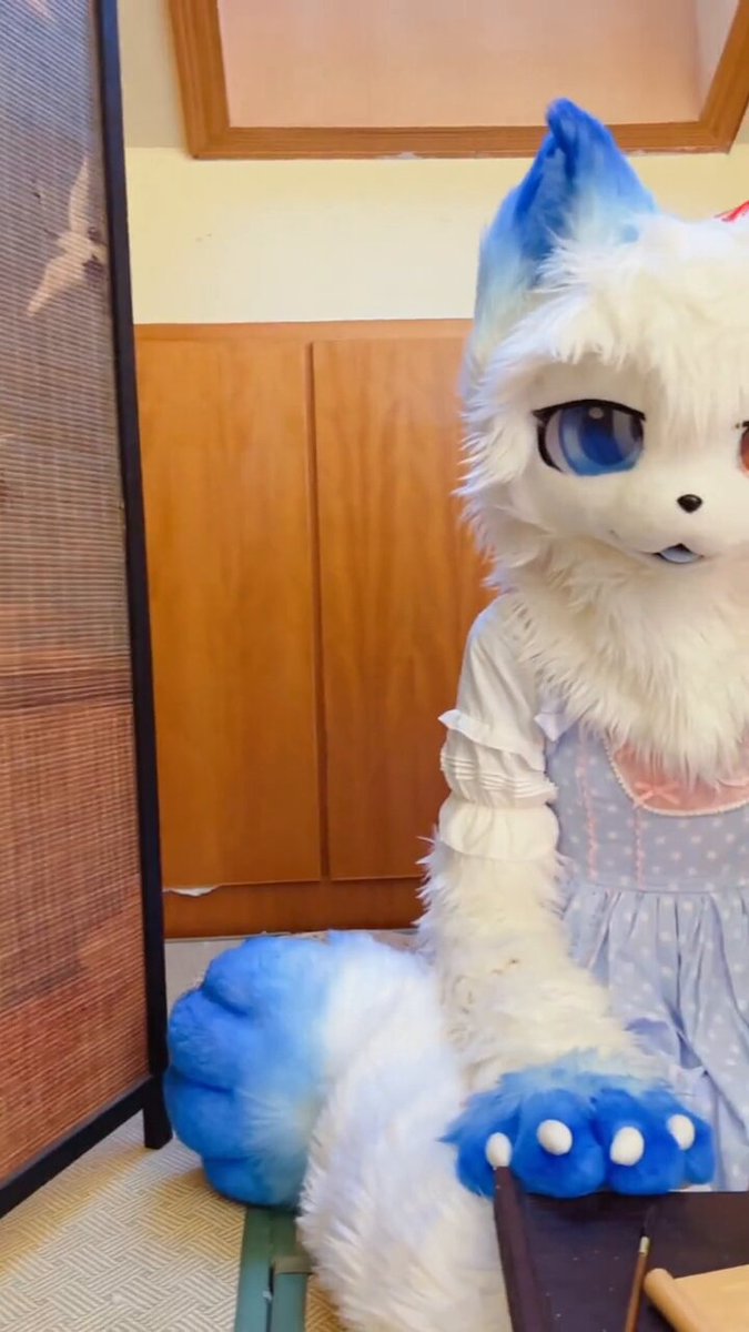 狐 Miyagi Zao Fox Village (Zao Kitsune Mura) - Cute fox zoo | Japan