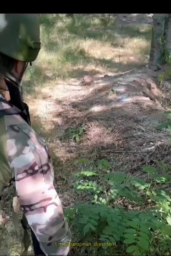 [問卦] 俄官方帳號發影片被法官方帳號批造謠