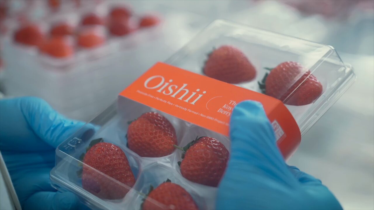 Oishii (@Oishii_berry) / X