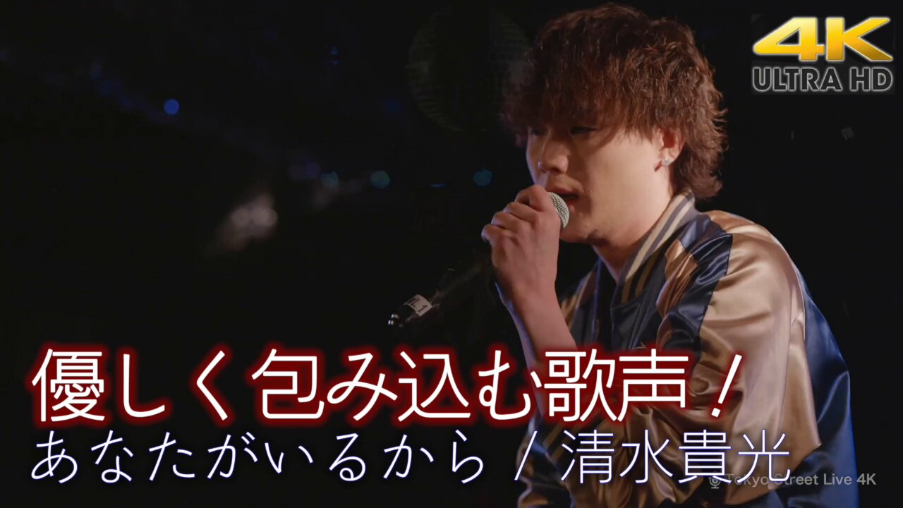 ミシェル・セ-ル 普遍学からアクタ-・ネットワ-クまで  /白水社/清水高志（単行本） ミシェル・セール: 普遍学からアクター・ネットワークまで
