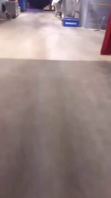 Asi yo jugando con mi nueva mascota #bearattack #rusia https://t.co/OzdVqIXuDd