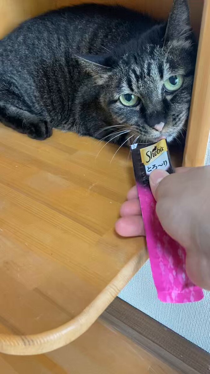 ♡ねぇね♡ 断捨離中　青梅　2kg　確認中 あやめPhoto - Search / X