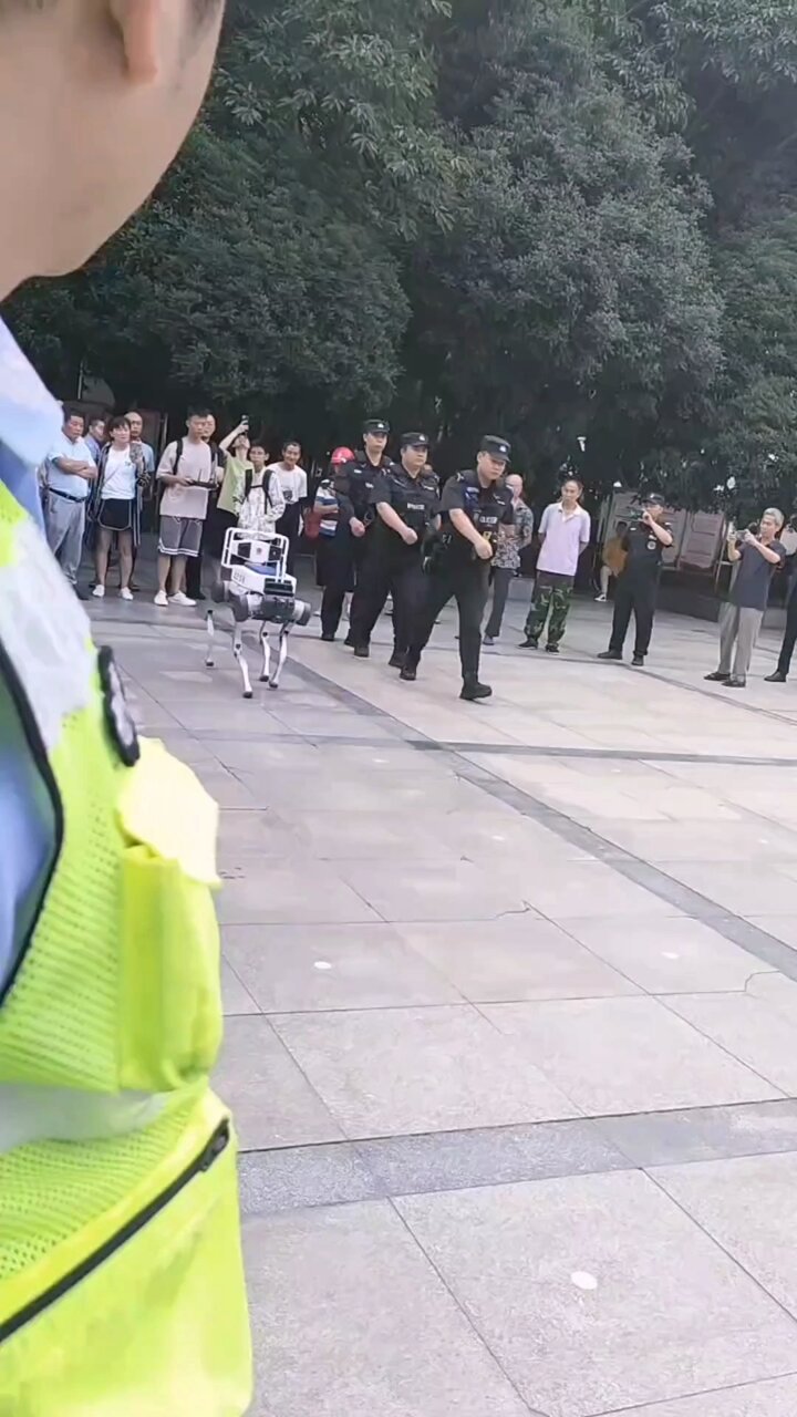 Re: [問卦] 如果要打巷戰要怎麼應付中共的機器狗啊?