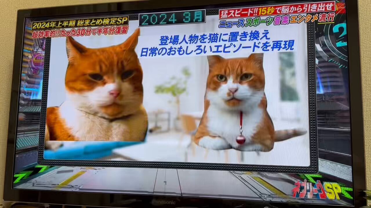🍁もみじ☀️ on X: 🍁もみじ☀️ on X: