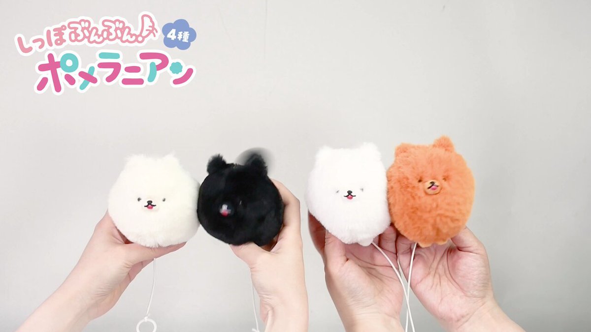 ぬいぐるみ」しっぽぶんぶん！ポメラニアン6種（72個入