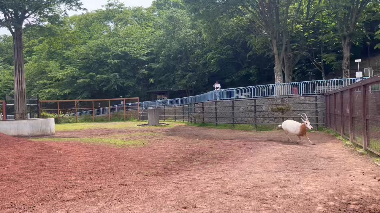 長野市茶臼山動物園【公式】 on X: 