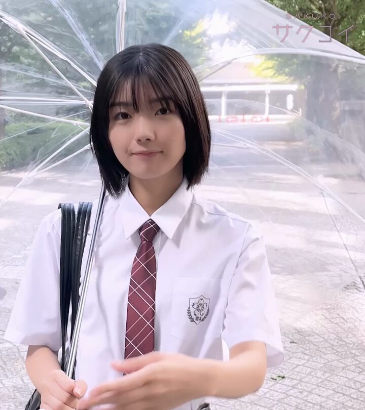 サクコイ　藤吉夏鈴　第1回+第2回カレシイベント＋おまけ的野パスケース　櫻坂46 サクコイ 藤吉夏鈴 第1回+第2回カレシイベント＋おまけ的野パス