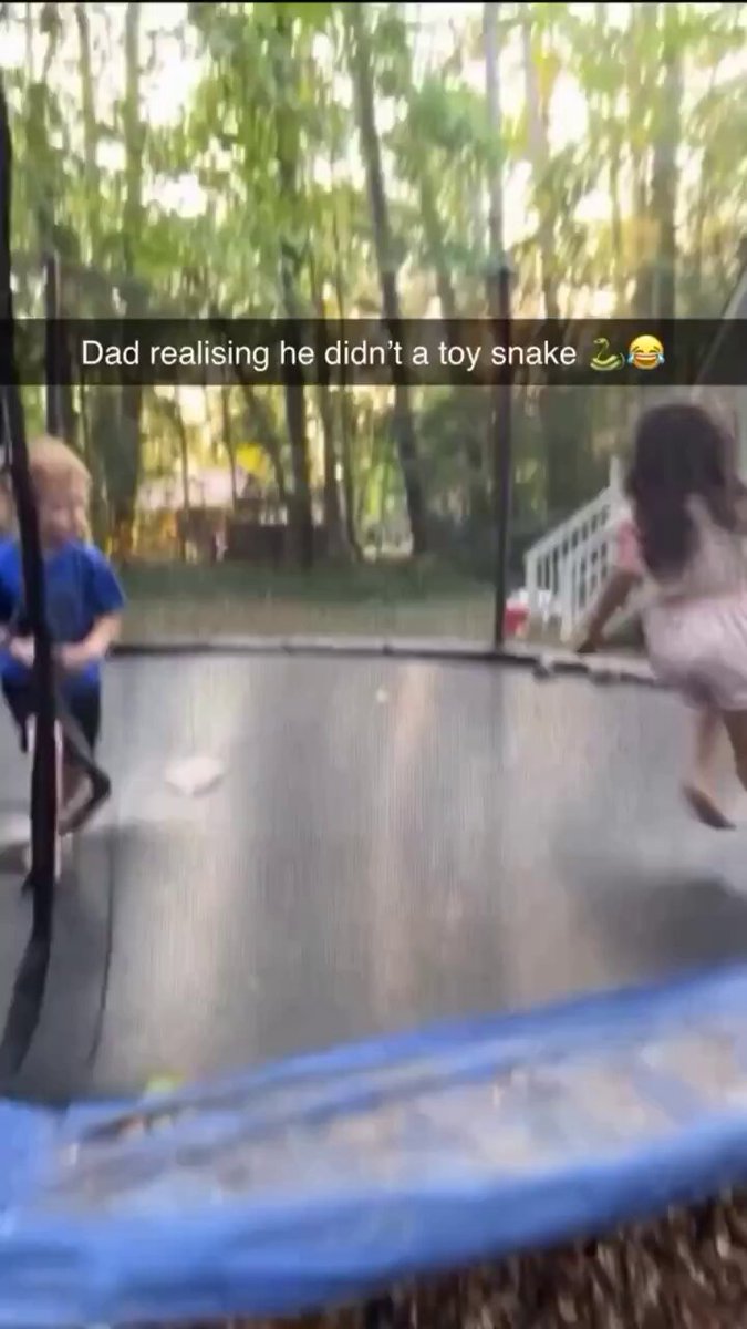This father discovers that his children are playing with a real snake, when he thought it was a toy 😭     