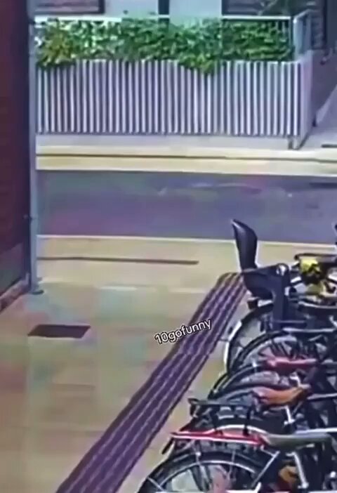 Well there goes his $300 cyclist airbag     