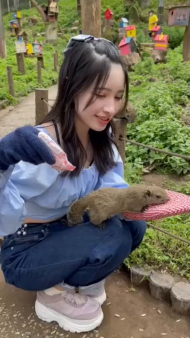コスプレイヤー橋本麗愛のTwitter動画6