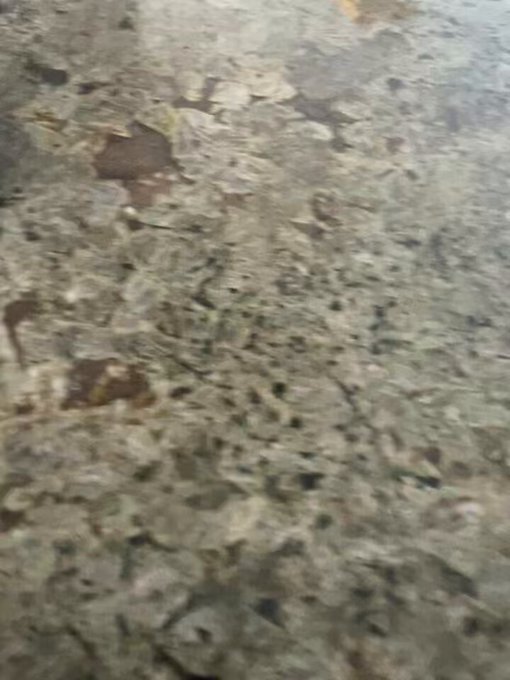 Whenever I cook, I always forget to take a picture of everything and the only thing I got was this video