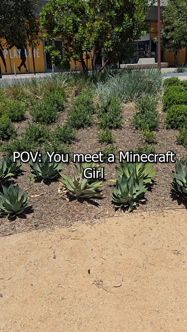 POV: You meet a minecraft girl

I deserved to be kicked ? https://t.co/pXkBixb3oT