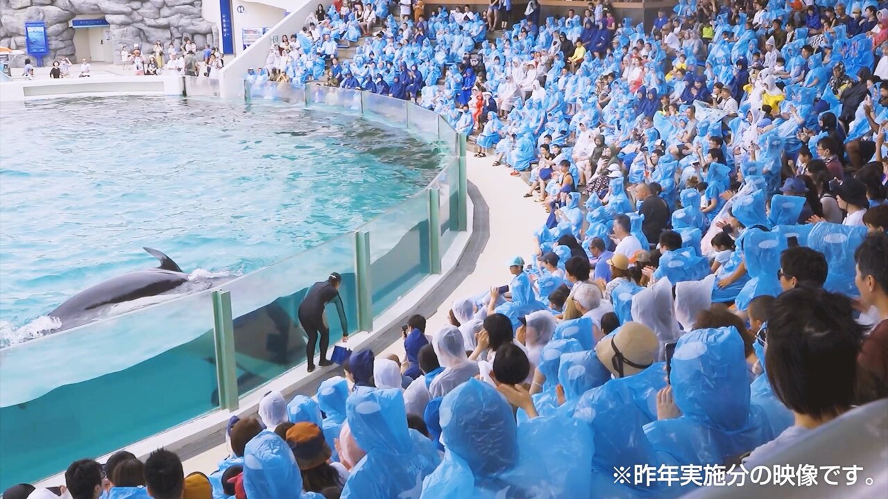 鴨川シーワールド【公式】 on X: 